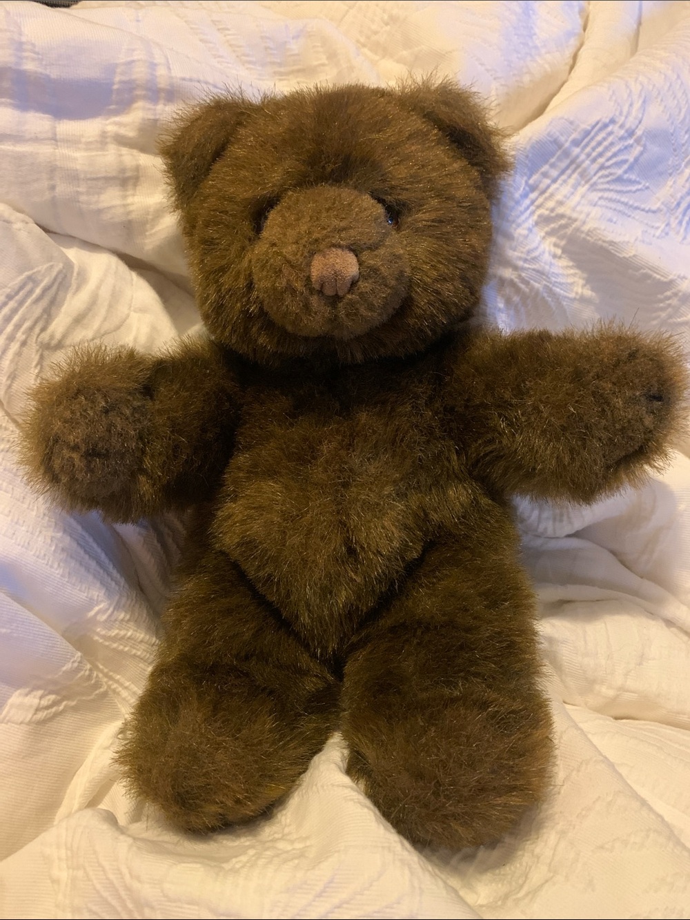 Gund Brown Teddy Bear Soft Stuffed Animal